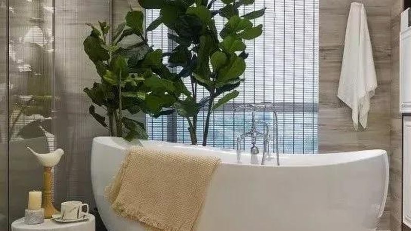 无水箱马桶尺寸规格全解析：选购不迷路
